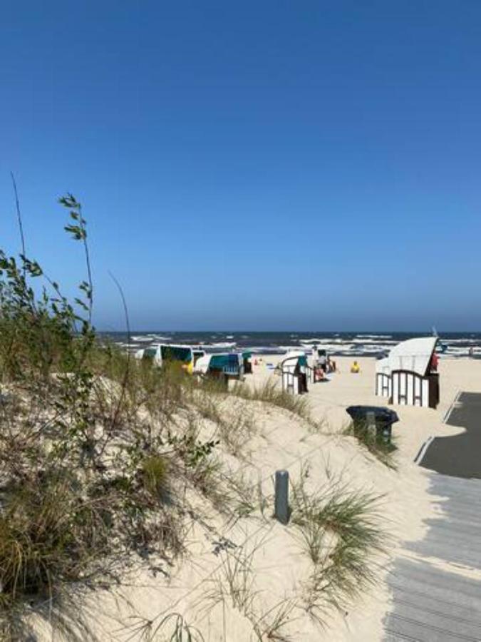 Schoene Geraeumige Ferienwohnung Am Park Heringsdorf  Eksteriør billede